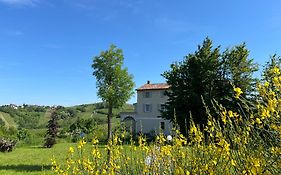 Albero Di Karta